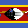 Eswatini Wire